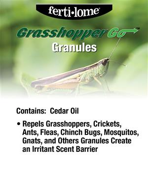 10059 - GrasshopperGo USE image 1